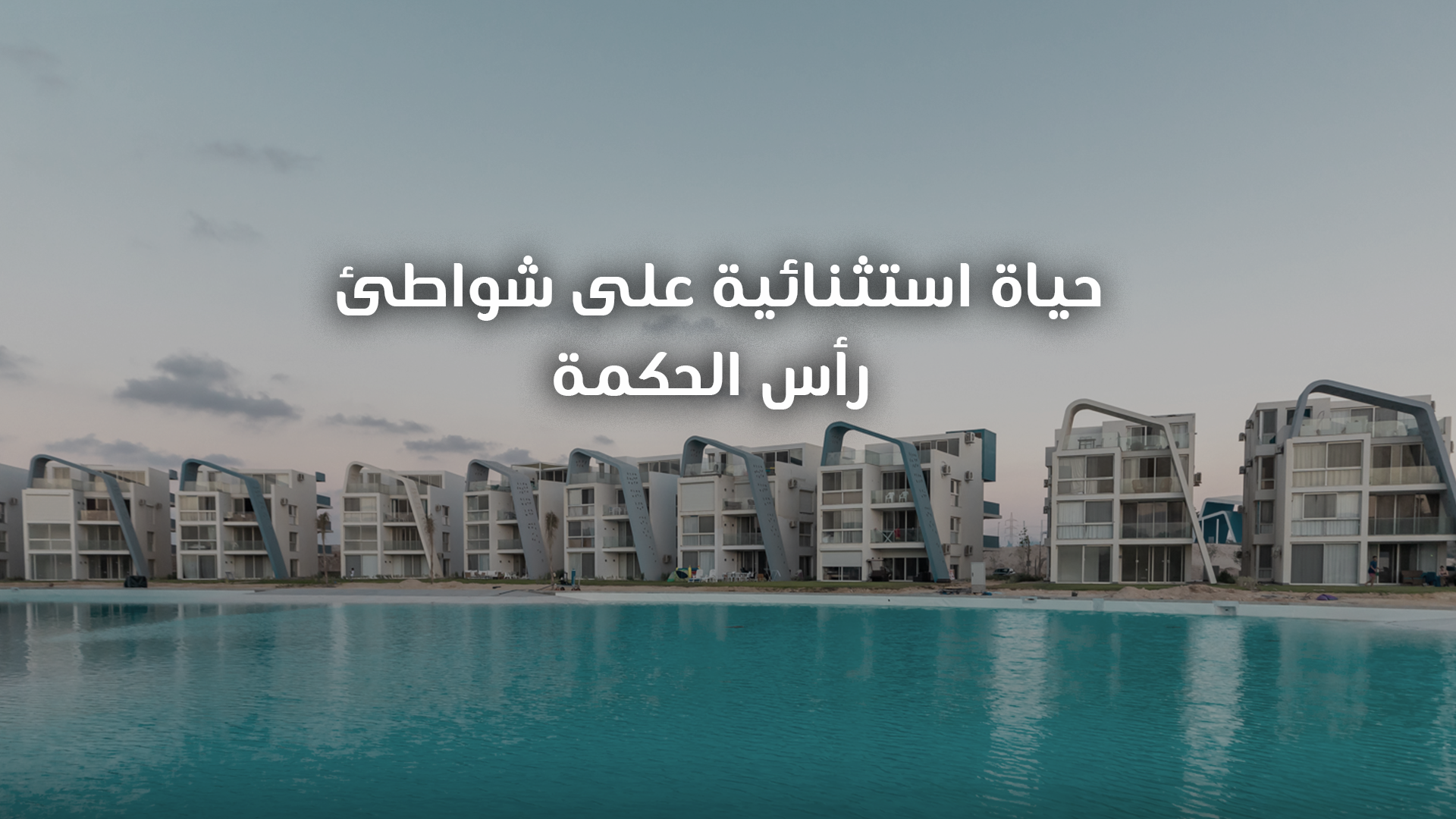 فوكا باي من تطوير مصر